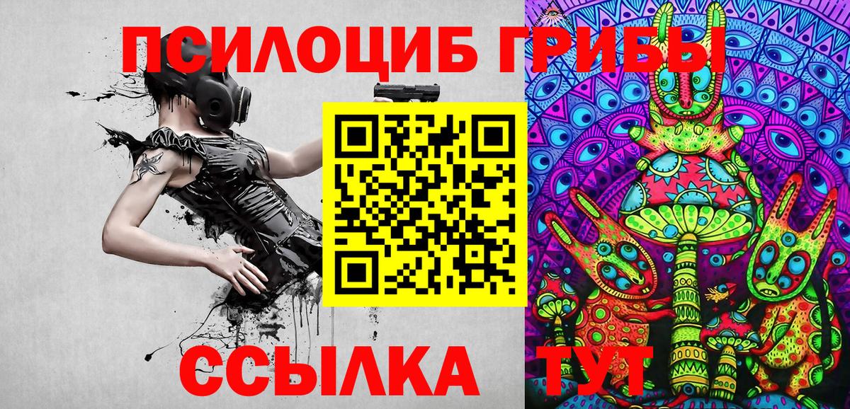 Галлюциногенные грибы Psilocybe  Вход с VPN  Трёхгорный 