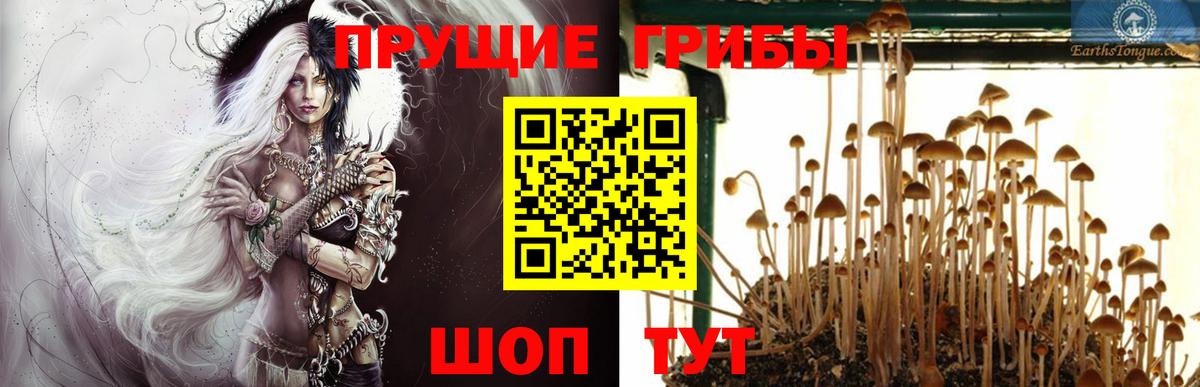 Галлюциногенные грибы GOLDEN TEACHER Трёхгорный